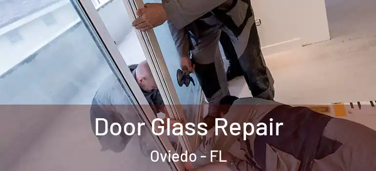  Door Glass Repair Oviedo - FL