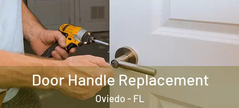  Door Handle Replacement Oviedo - FL