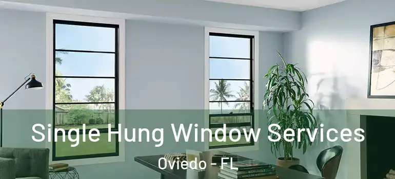  Single Hung Window Services Oviedo - FL