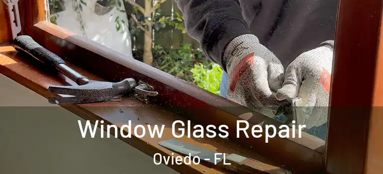  Window Glass Repair Oviedo - FL